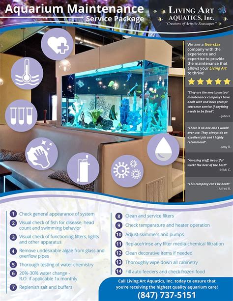 Magical lights aquarium infographics